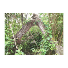The Fallen Arch Stretched Canvas Prints