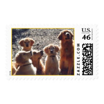 The Family postage