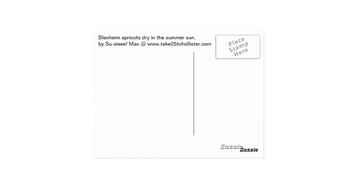 The Famous Apricots of Hollister, California Postcard Zazzle