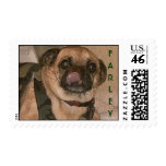 The Farley Man Postage Stamp