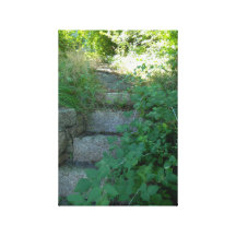 The Farmers Stairs To The Path Of Wonders Gallery Wrap Canvas