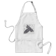 The fastest supersonic spy plane: SR-71 Blackbird Aprons