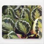 The Feather Plants Mousepad