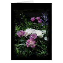The Feathered Tulips cards