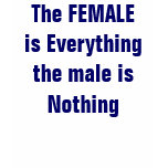 The FEMALE is Everythingthe male is Nothing