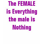 The FEMALE is Everythingthe male is Nothing