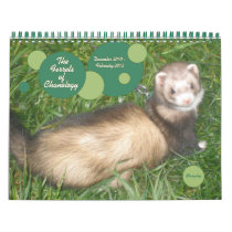 The Ferrets of Chanology Wall Calendar