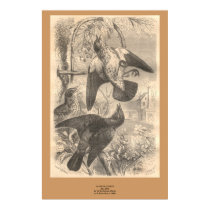 The Fieldfares posters
