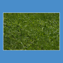 The fields posters