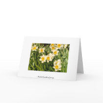the first breathe of spring cards