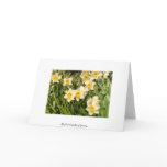 the first breathe of spring card