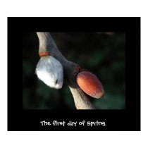 The first day of Spring posters by chesterperson The first day of Spring posters