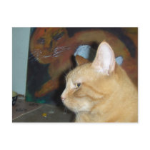 The First Ever Ringo Post Card!!! postcards