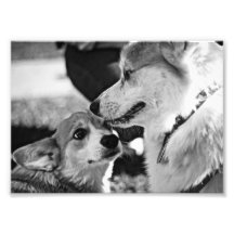 The first time I ever saw your face. Photo Print