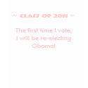 The first time I vote (2011) t-shirts