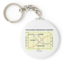 The Five Stages Of Demographic Transition Key Chain