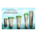 The Five Stone Pillars posters