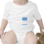 The Flag of Argentina Tee Shirt