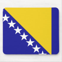 The flag of Bosnia and Herzegovina