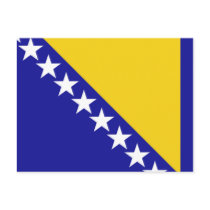 The flag of Bosnia and Herzegovina