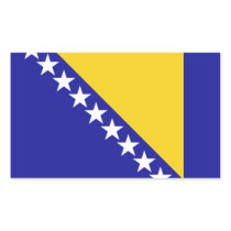 The flag of Bosnia and Herzegovina