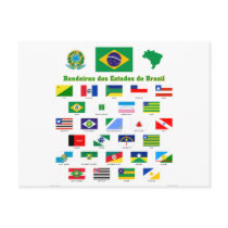 The Flags of Brazil Postcard