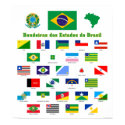 The Flags of Brazil Poster posters