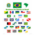 The Flags of Brazil t-shirts