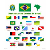 The Flags of Brazil t-shirts