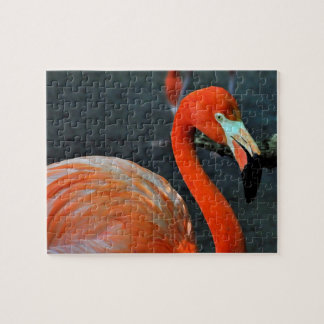 The Flamingo Jigsaw Puzzles
