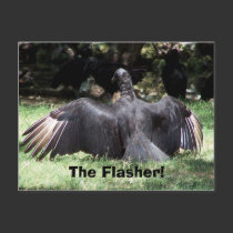 The Flasher! postcards