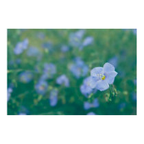 The Flax Fairy posters by vladstudio The Flax Fairy posters