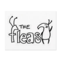 The Fleas Postcard by Mohican_Records The Fleas Postcard