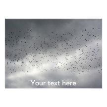 The Flock Invitation