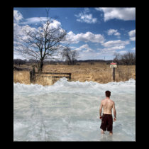 The Flood posters