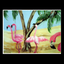 "The Florida Flamingos" Horizonal Postcard postcards