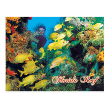 The Florida Reef in the Florida Keys Post Card