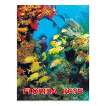 The Florida Reef in the Florida Keys Post Card