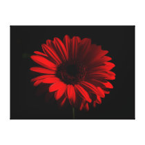 The Flower Stretched Canvas Print
