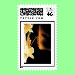 The Flower Lamp stamps