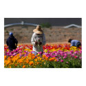 The Flower Pickers posters by Sherlockdonatello The Flower Pickers posters