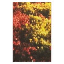 The Flowers stationery
