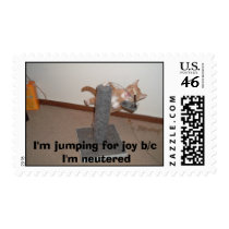 The Flying kitten stamps