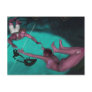 The Flying Trapeze Post Card