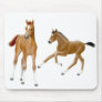 The Foals Mousepad