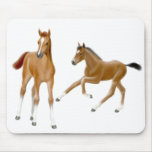 The Foals Mousepad