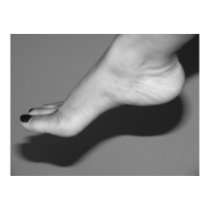 The Foot Diva's Shadow posters