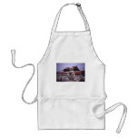 The Forbidden City Beijing China Apron