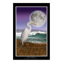 "THE FORESHORE" EGRET Art Print Poster