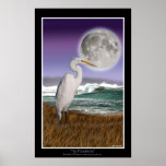 "THE FORESHORE" EGRET Art Print Poster